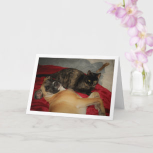 Carte Chaton Tortoiseshell doux avec chiot