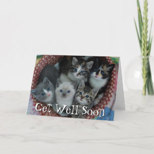 Carte Chatons dans un panier