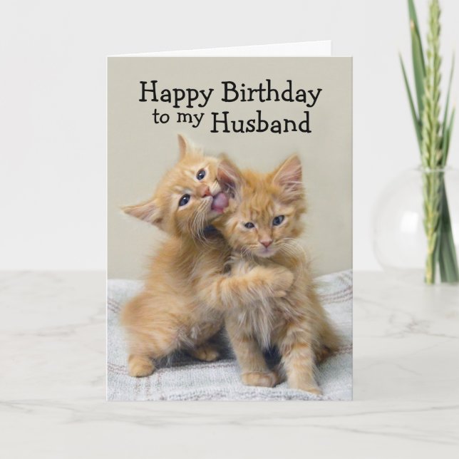 Carte Chatons d'orange de joyeux anniversaire de mari (Devant)