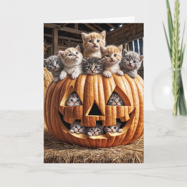 Carte Chatons En Citrouille Halloween (Devant)