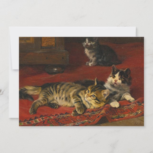 Carte Chatons | Julius Adam le Jeune (Devant)