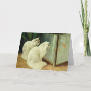 Carte Chats blancs observant le poisson rouge