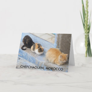 Carte Chats, Chefchaouen, Maroc