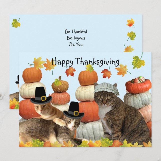 Carte Chats, Citrouilles et feuilles d'automne (Devant / Derrière)