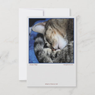 Carte Chats confortables