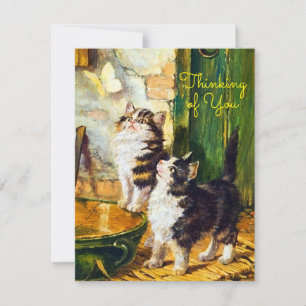 Carte Chats Curieux Vintage Papillon Pensée Pour Vous