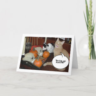 Carte Chats d'Halloween effrayants