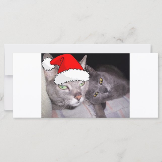 Carte Chats gris bleu russe de Noël (Devant)
