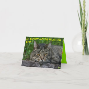 Carte chats : Je ne déménage pas de cet endroit.
