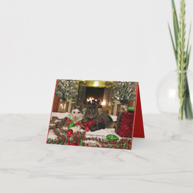 Carte Chats mignons célébrant Noël (Devant)
