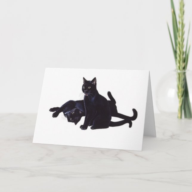Carte chats noirs (Devant)