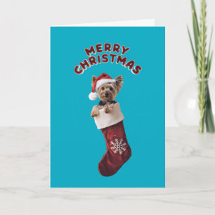 Carte Chaussette de Noël de Yorkie mignon