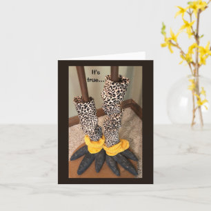 Carte Chaussettes humoristiques sur un poulet