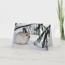 Carte Chaussure à neige Lièvre hiver Snow Nature Scène