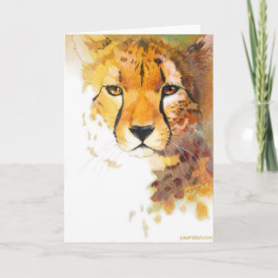 Carte - Cheetah !