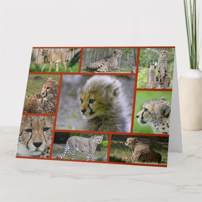 Carte Cheetah-Collage001 (Devant)