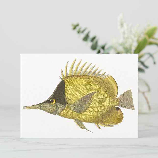Carte Chelmon Tropical Jaune Longirostris, Poisson Vinta (Debout devant)