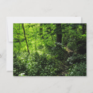 Carte Chemin dans la forêt