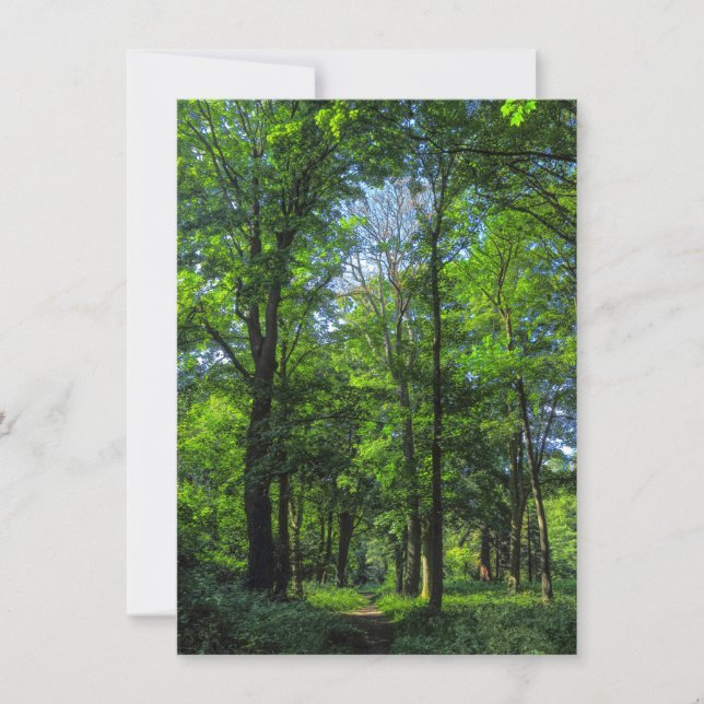 Carte Chemin des bois. Blackweir Woods, Cardiff, Wales. (Devant)