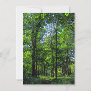 Carte Chemin des bois. Blackweir Woods, Cardiff, Wales.