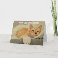 Chemo Support Cute Cat