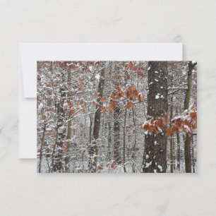 Carte Chênes couverts de neige hiver Photographie de la 