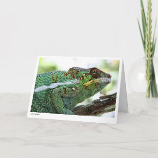 Carte Chèque-cadeau de caméléon de panthère