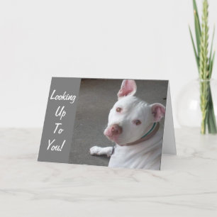 CARTE CHERCHEZ-VOUS POUR ALLER CHEZ MON AMI