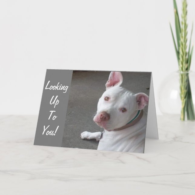 CARTE CHERCHEZ-VOUS POUR ALLER CHEZ MON AMI (Devant)