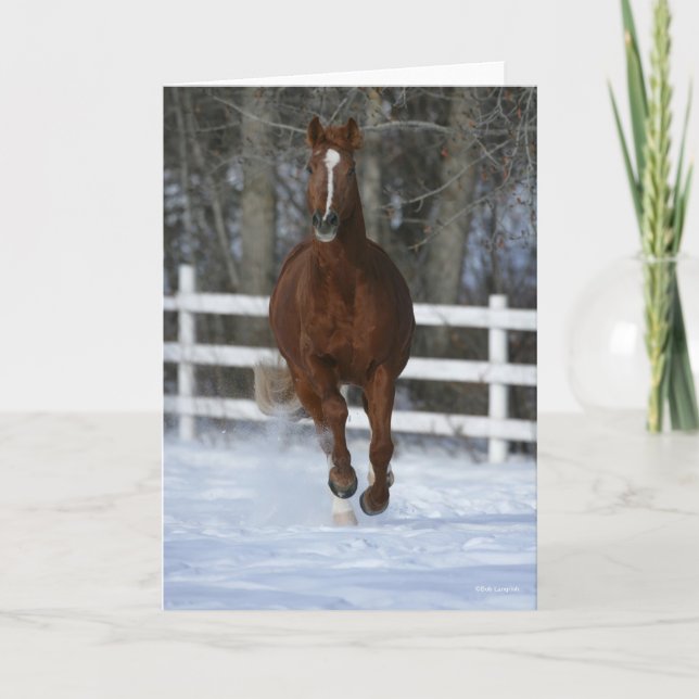 Carte Chestnut Trakehner Stallion In The Snow (Devant)