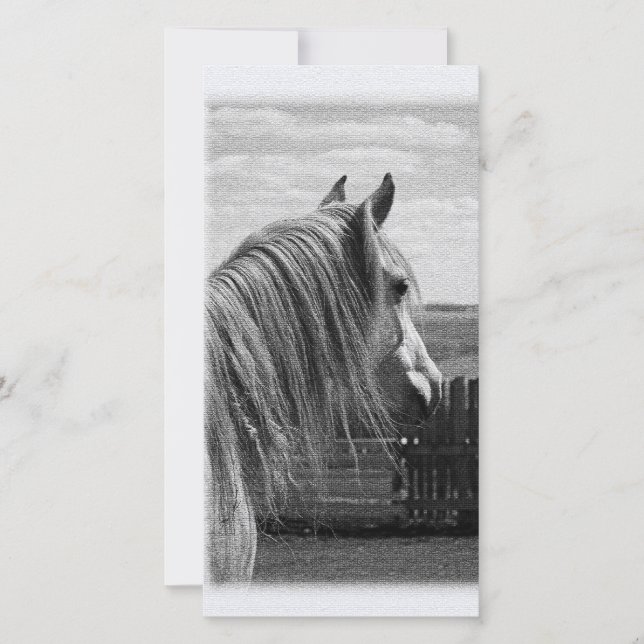 Carte cheval (Devant)