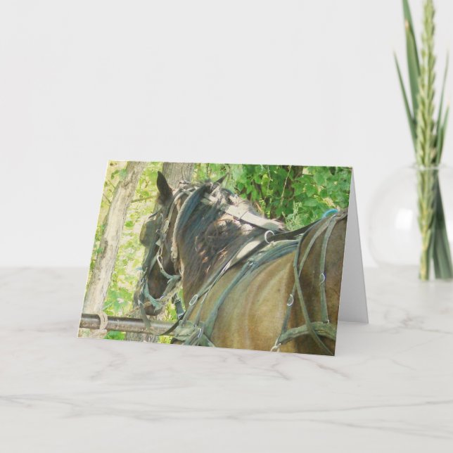 Carte Cheval Amish à Hitching Post Toutes les occasions (Devant)