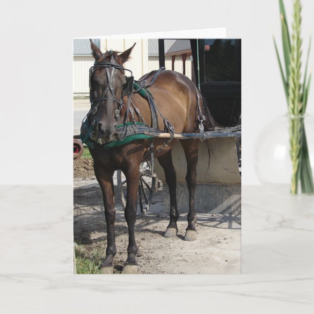 Carte Cheval Amish au poteau d'attelage (Devant)