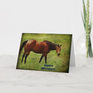Carte Cheval Bai, Anniversaire
