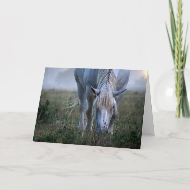 Carte Cheval blanc (Devant)