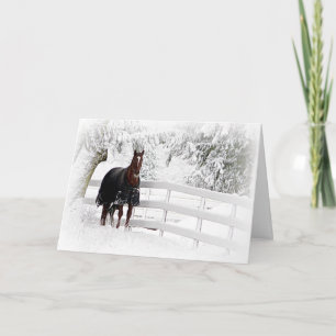 Carte Cheval dans le pâturage neigeux