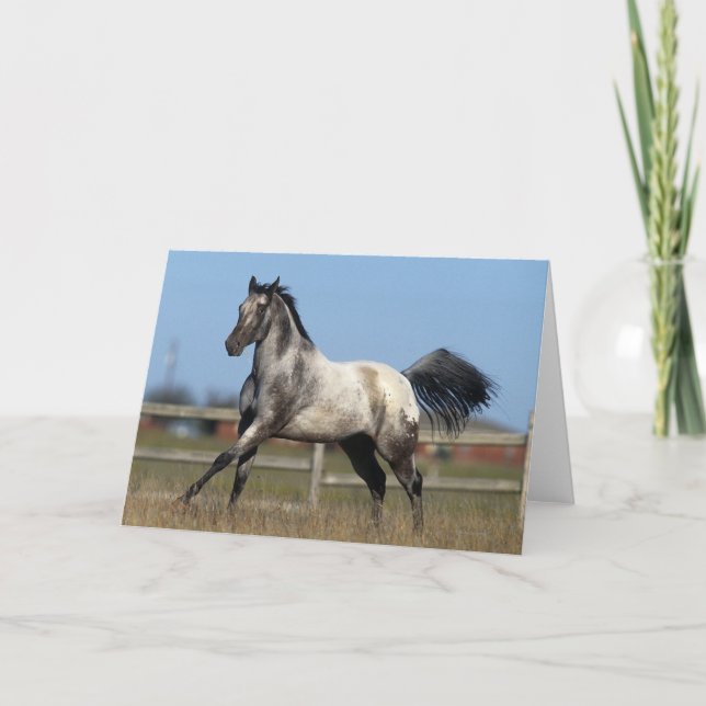 Carte Cheval d'Appaloosa courant 3 (Devant)