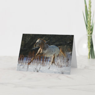 Carte Cheval d'Appaloosa fonctionnant dans la neige