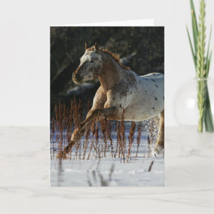 Carte Cheval d'Appaloosa fonctionnant dans la neige