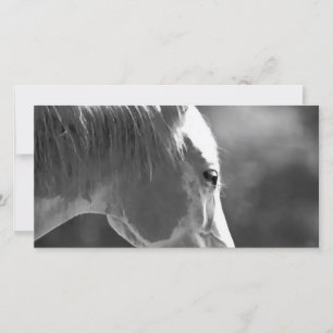 Carte Cheval d'art pop noir et blanc