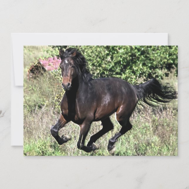 Carte Cheval de châtaignier à galop (Devant)