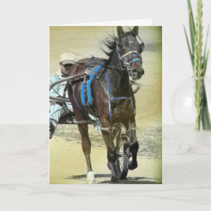 Carte Cheval de course standard
