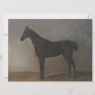 Carte Cheval de la baie de Gelding (par Albrecht Adam)