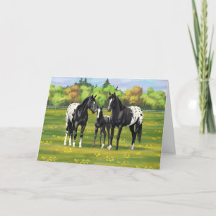 Carte Cheval De L'Appaloosa Noir Dans Le Pâturage D'Été