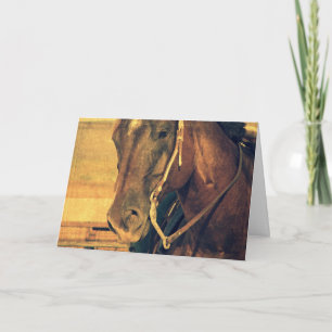 Carte Cheval de l'Ouest, Anniversaire
