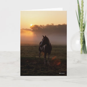 Carte Cheval De Peinture Se Tenant En Mist Au lever Du S
