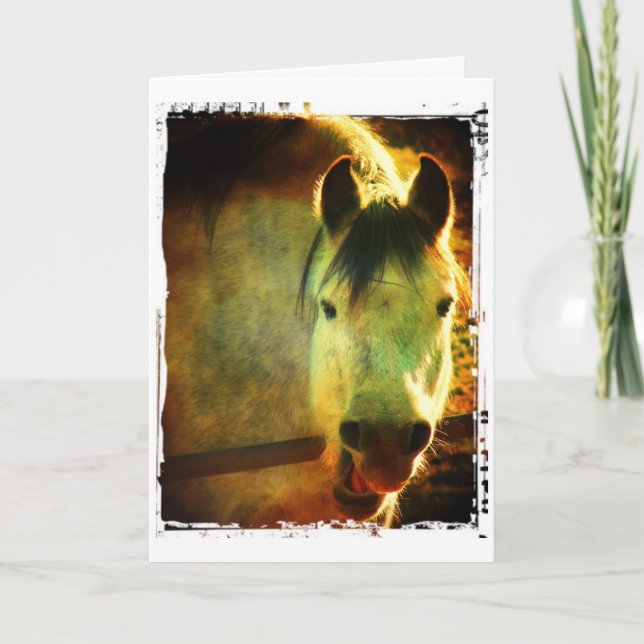 Carte Cheval de rire, anniversaire (Devant)