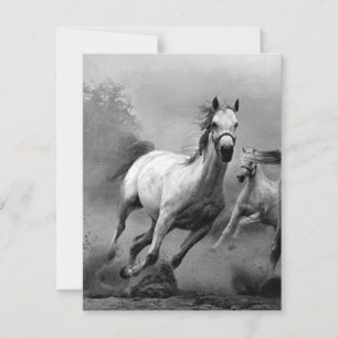 Carte Cheval en course