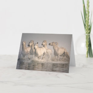 Carte Cheval galopant dans l'eau méditerranéenne