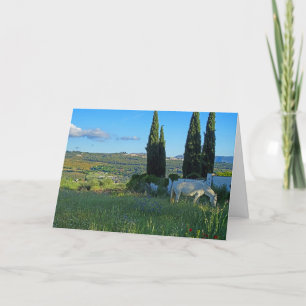 Carte Cheval heureux